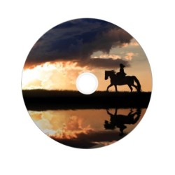 VERBATIM DVD+R DL Printable 8,5GB 8x cake 10szt